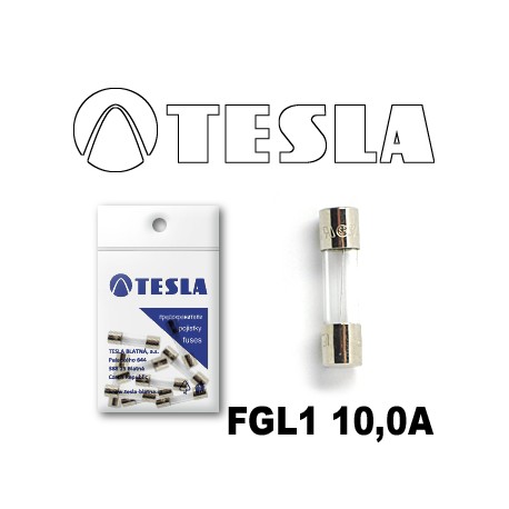 FGL1 10A AUTO OSIGURAC